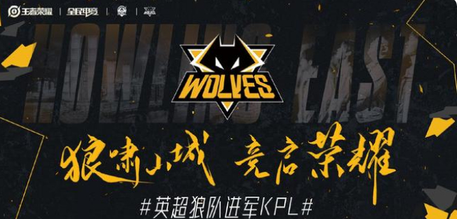 Fnatic 将面对 Sashi， OG 将在 ESL Pro League 第22赛季：欧洲预选赛季后赛中与 Nemiga 相遇